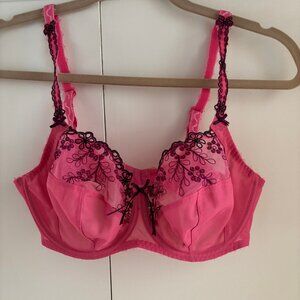 Fantasie Pink & Purple Lace Bra Size 34E (Size 34DD)